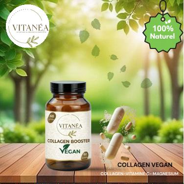 COLLAGENE BOOSTER VEGAN 60 Gélules | Vitamine C & Silicium | Vitanéa
