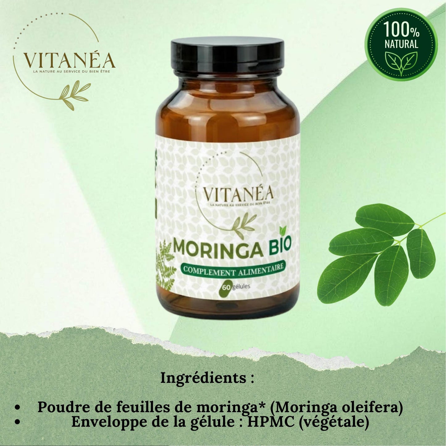 MORINGA BIO 60 Gélules | Riche en Calcium & Vitamines | Vitanéa